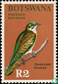 Diederikkoekoek