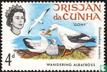 Les oisaux