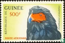 Vogels kopen