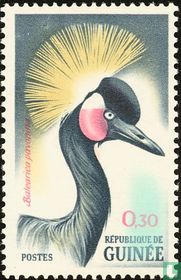 Oiseaux acheter