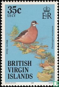 Oiseaux    