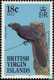 Oiseaux    