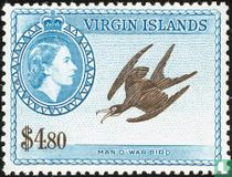 Fregattvogel