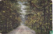 Kwalsterdreef Liesbosch