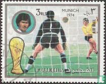 Football World Cup   