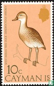 Native Birds  