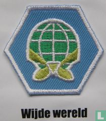 Insigne welpen - Wijde wereld