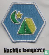 Insigne welpen - Nachtje kamperen