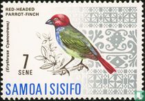 Oiseaux 