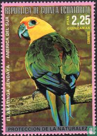Oiseaux d'Amérique du Sud