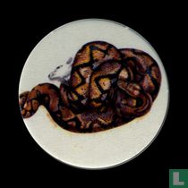 Python Reticule