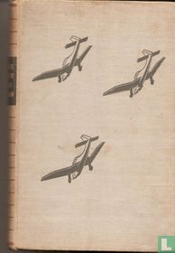 Unsere Flieger úber Polen.