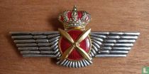 Fuerza Aérea de España Rokiski de Piloto