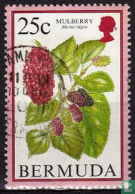 Fruits acheter