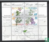 Fleurs indigènes