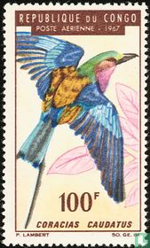 Vogels  