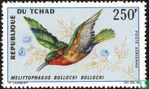 Oiseaux     