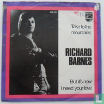 Take to the Mountains 