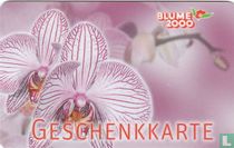 Blume 2000