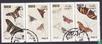Butterflies for sale