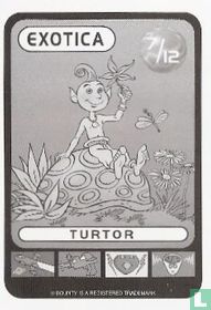 Turtor kaufen