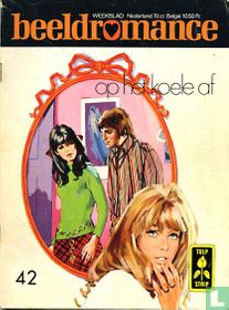 Beeldromance 42