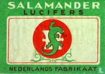 Salamander
