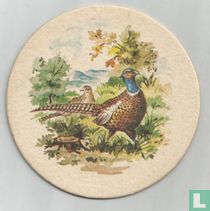 Gute Pflanzen günstig kaufen