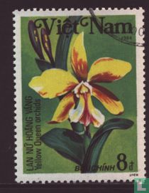 Orchidées acheter