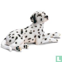 Dalmatier