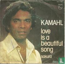Love is a Beautiful Song