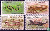 Reptiles acheter