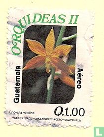 Orchidées