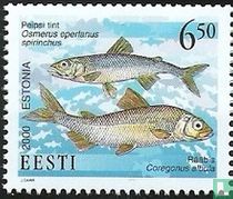 Fische