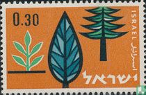 Afforestation  