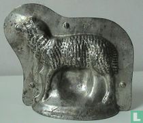 Schaap