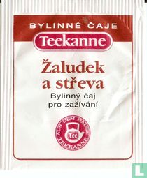 Zaludek a streva