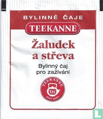 Zaludek a streva