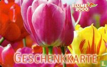 Blume 2000