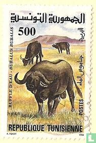 Parc national de l'Ichkeul