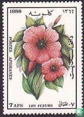 Fleurs 