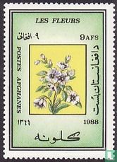 Fleurs
