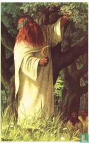 Les druides - De druïden
