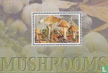 Mushrooms      