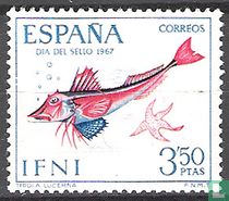 Fisch 