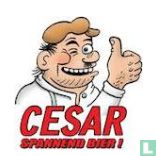 Cesar alcohol / beverages catalogue