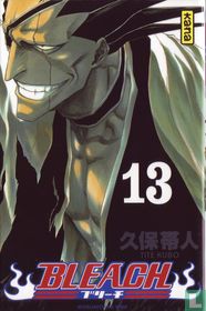 Bleach 13