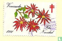Kerstmis - Feliz Navidad