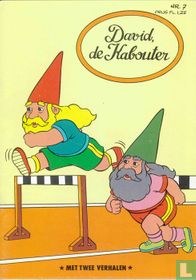 David, de kabouter 7
