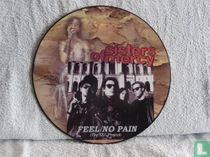 Feel no pain (the SSV-Project)